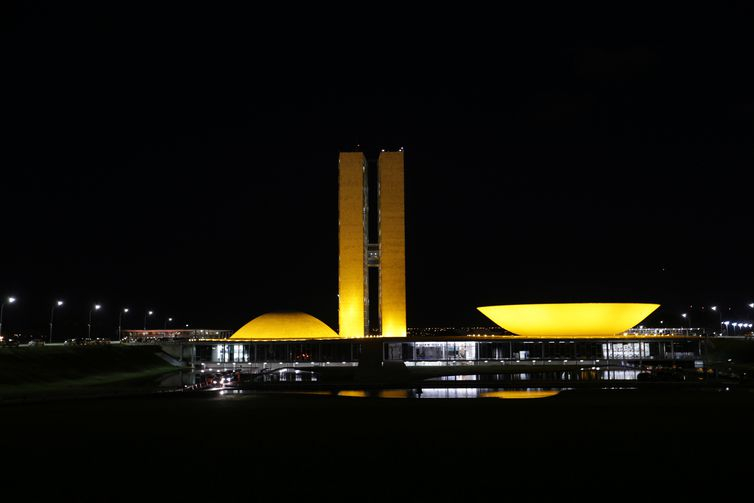 A cinco meses das eleições, Câmara e Senado trabalham em ritmo lento