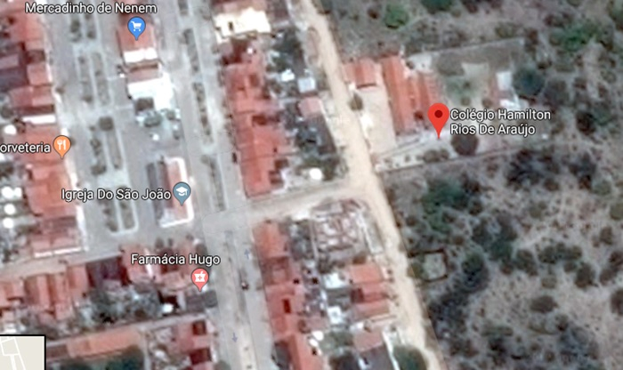 Coité – Colégio é invadido por abelhas e muitos alunos professores e servidores são picados