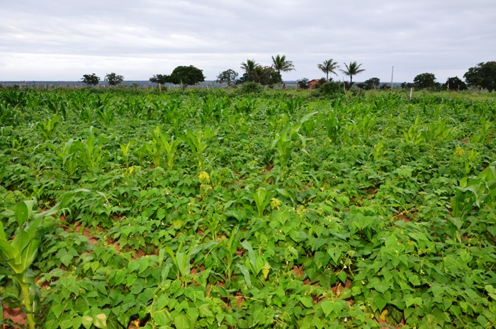 Sátiro Dias I – Depois de muita dificuldade, prefeito consegue equilibrar finanças do município e faz festa de São João para comemorar o bom momento