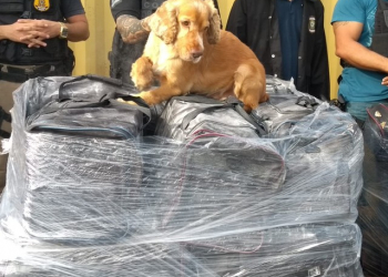 Polícia apreende 1,5 tonelada de cocaína no porto de Salvador