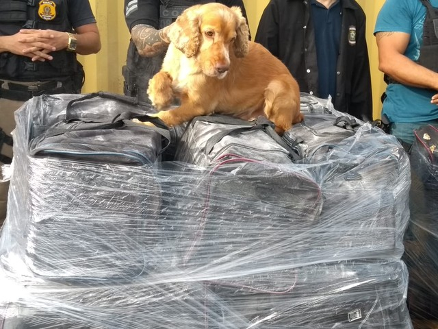 Polícia apreende 1,5 tonelada de cocaína no porto de Salvador