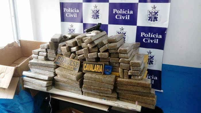 Pistola israelense e 300 kg de maconha apreendidos em Feira de Santana