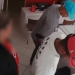 Em plena luz do dia: dupla leva 30 celulares de loja no centro de Serrinha