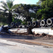 Caminhoneiro de Araci morre vítima de capotamento na BR 101