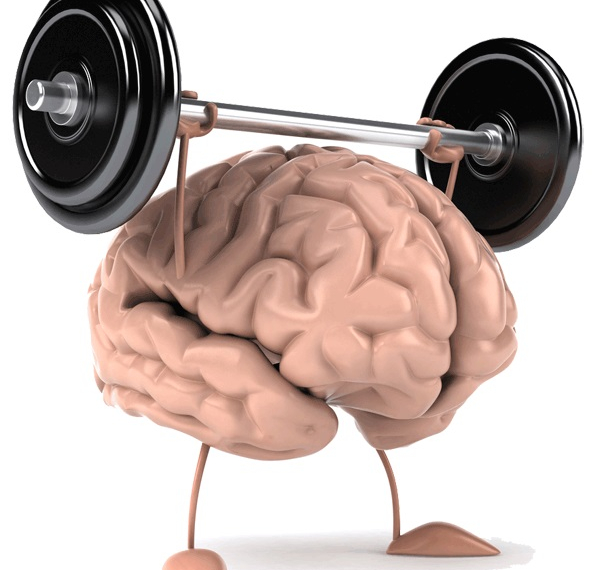 Atividade física turbina o cérebro em qualquer fase da vida, diz pesquisa