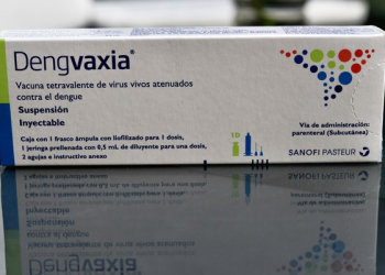 Vacina contra dengue não deve ser tomada por quem nunca teve o vírus, diz Anvisa