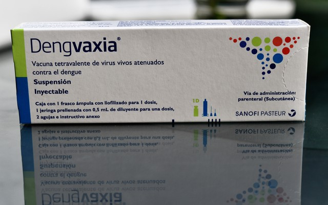 Vacina contra dengue não deve ser tomada por quem nunca teve o vírus, diz Anvisa