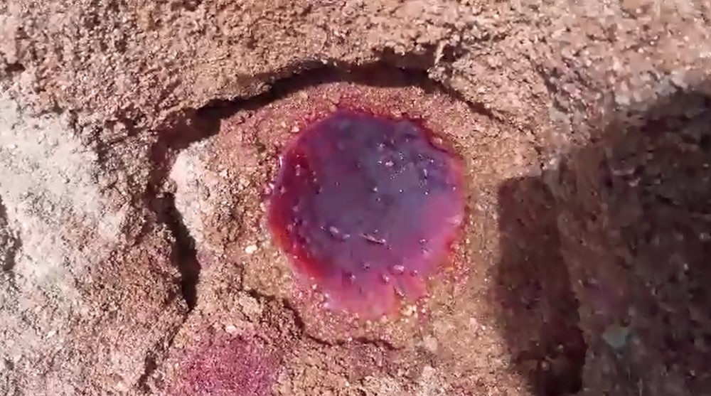 Água ‘cor de sangue’ na margem de rio no Ceará intriga moradores