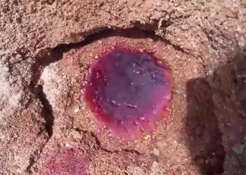 Água ‘cor de sangue’ na margem de rio no Ceará intriga moradores