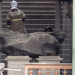 Meteorito que caiu em Monte Santo-BA foi uma das poucas peças que resistiu ao fogo no Museu do Rio de Janeiro