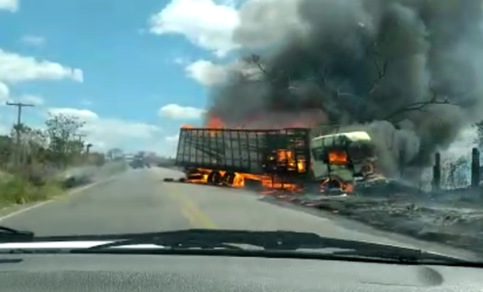Colisão envolvendo caminhonete e caminhão boiadeiro deixa homens e cavalos mortos