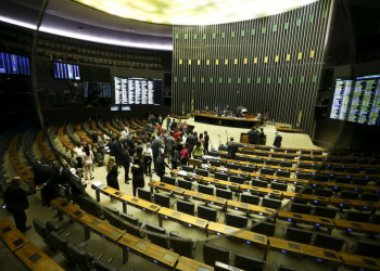 Empresários e profissionais liberais são maioria na nova Câmara