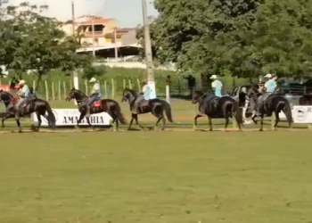 Amargosa sedia a III Copa de Marcha Especializada do Mangalarga Machador
