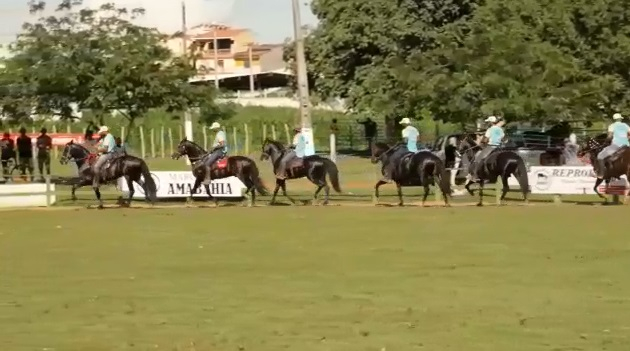Amargosa sedia a III Copa de Marcha Especializada do Mangalarga Machador