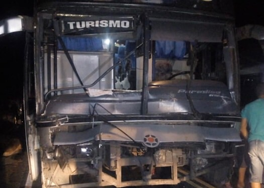 Ônibus atropela 12 vacas na BA 120 trecho Santaluz/Queimadas