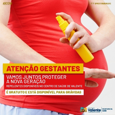 Gestantes de Valente têm direito a repelentes grátis