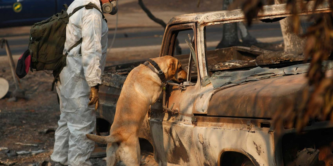 Passa de 1.000 o número de desaparecidos em incêndios na Califórnia