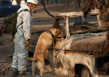 Passa de 1.000 o número de desaparecidos em incêndios na Califórnia