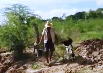 Homem é flagrado jogando cachorros recém nascidos dentro de rio (vídeo)