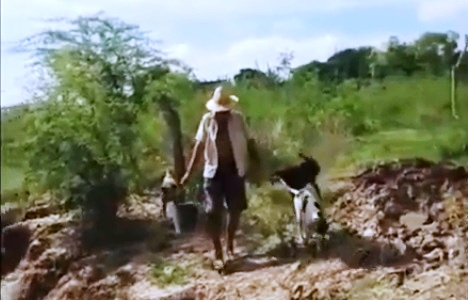 Homem é flagrado jogando cachorros recém nascidos dentro de rio (vídeo)