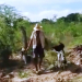 Homem é flagrado jogando cachorros recém nascidos dentro de rio (vídeo)