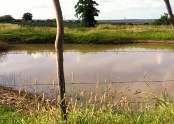 Menino de 11 anos morre afogado em tanque na zona rural de Barrocas
