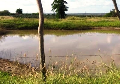 Menino de 11 anos morre afogado em tanque na zona rural de Barrocas