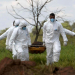 Sobe para 99 o número de mortos e há 259 desaparecidos em Brumadinho