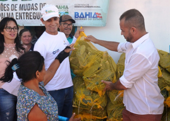 Comunidade rural de Capim Grosso é beneficiada com 50 mil mudas de palma forrageira