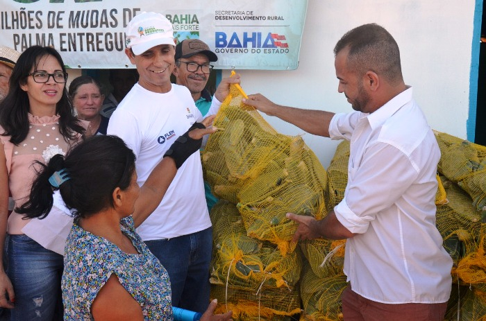 Comunidade rural de Capim Grosso é beneficiada com 50 mil mudas de palma forrageira