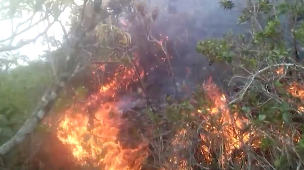 Incêndio na Serra do Cruzeiro, em Jaguarari, é controlado, diz Corpo de Bombeiros