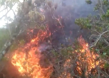 Incêndio na Serra do Cruzeiro, em Jaguarari, é controlado, diz Corpo de Bombeiros
