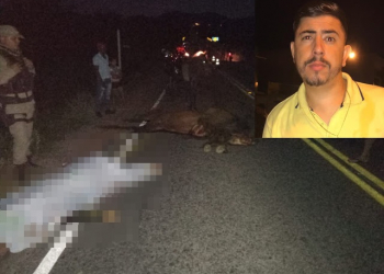 Motociclista morre ao colidir veiculo com animal na BA 381