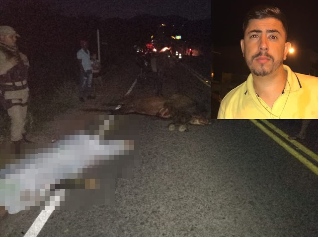 Motociclista morre ao colidir veiculo com animal na BA 381