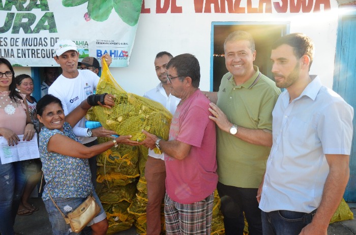 Comunidade rural de Capim Grosso é beneficiada com 50 mil mudas de palma forrageira