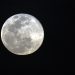 Maior superlua do ano ocorre nesta terça-feira