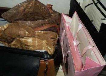 Dois mulheres são flagradas usando “sacolas mágicas” para roubar loja