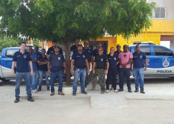 Operação Serra do Leão em Pé de Serra cumpre mandados de prisão e busca e apreensão