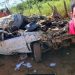 Motorista morre ao colidir com animal na BA 144