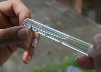 Casos de dengue crescem 134% na Bahia; Feira de Santana vive surto