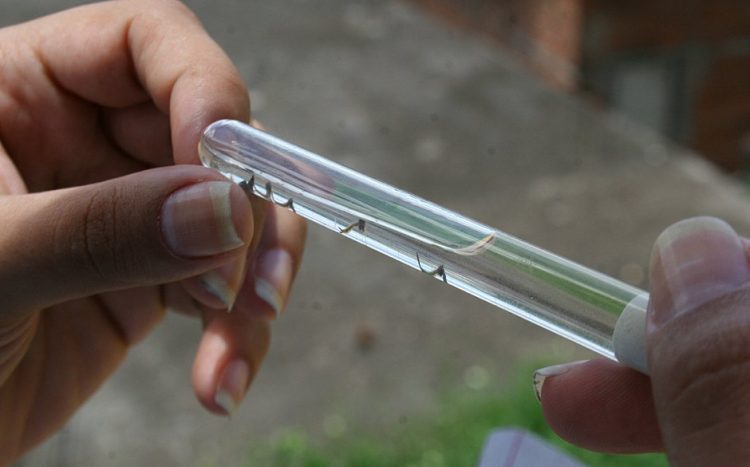 Casos de dengue crescem 134% na Bahia; Feira de Santana vive surto