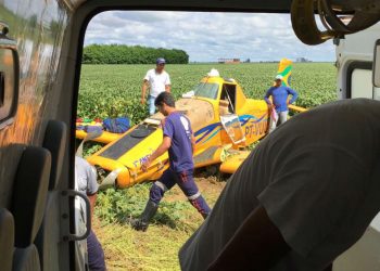 Piloto de avião morre após aeronave cair em plantação de soja