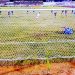 Copa do Brasil: Juazeirense sofre empate no fim e é eliminado pelo Vasco