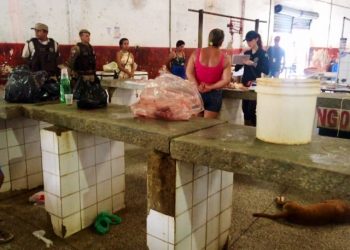 Operação do MP apreende 650 quilos de carne armazenadas de forma irregular no Mercadão de Serrinha