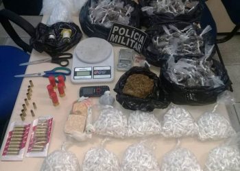 Polícia realiza maior apreensão de pinos dos últimos cinco anos