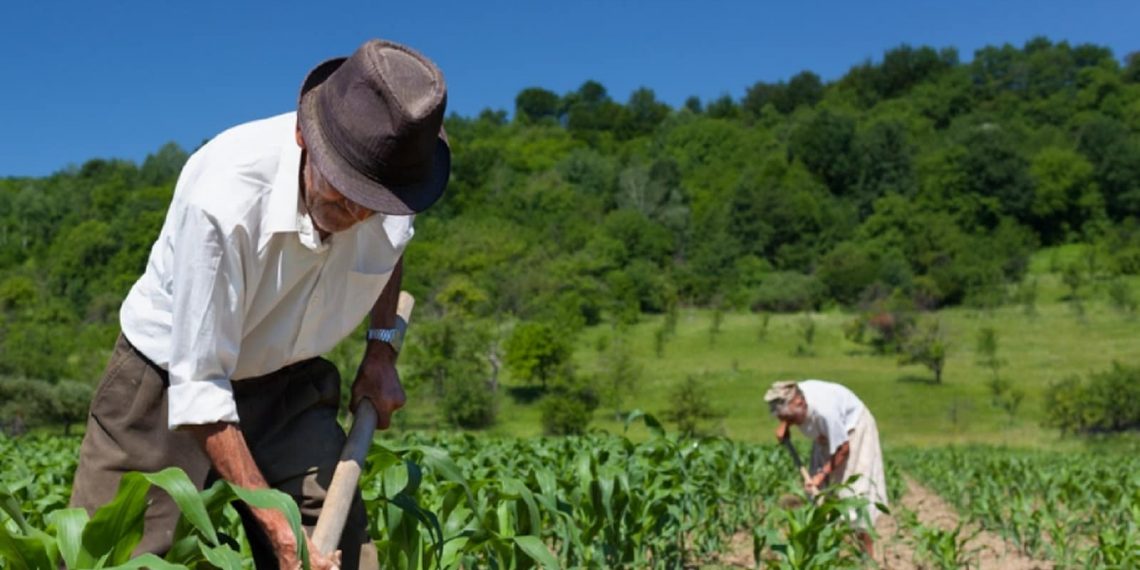Reforma da Previdência prevê idade mínima de 60 anos para homens e mulheres na aposentadoria rural