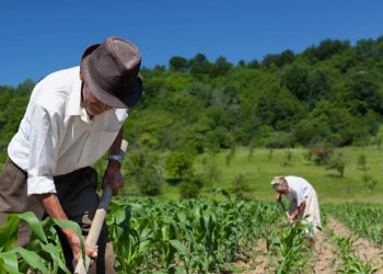 Reforma da Previdência prevê idade mínima de 60 anos para homens e mulheres na aposentadoria rural