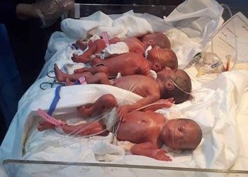 Raríssimo: mãe de 25 anos dá à luz naturalmente a sete bebês
