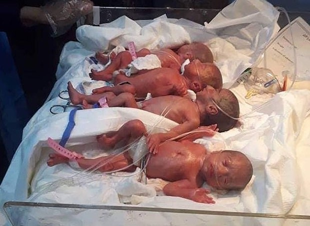 Raríssimo: mãe de 25 anos dá à luz naturalmente a sete bebês