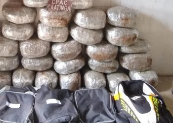 Mulher é presa com 28 kg de maconha em ônibus de viagem